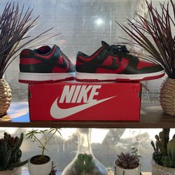 Low Nike Dunks 