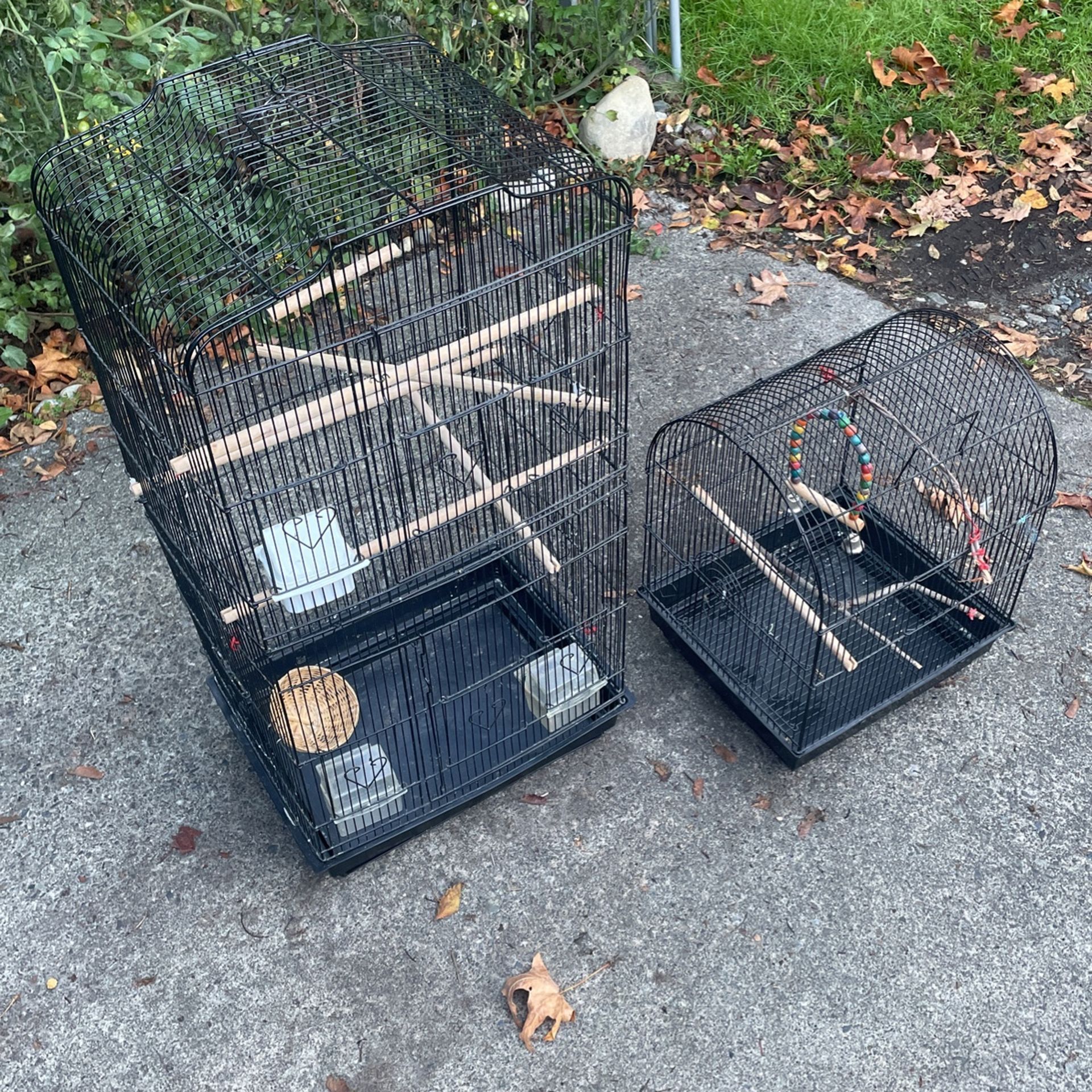 Two Bird Cages.