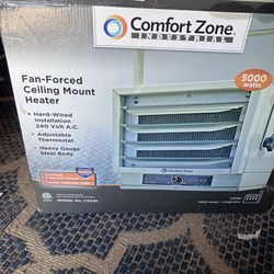 Ceiling mount heater