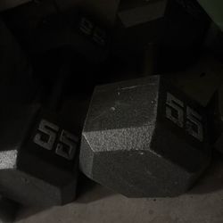 55 Pound Dumbbells 