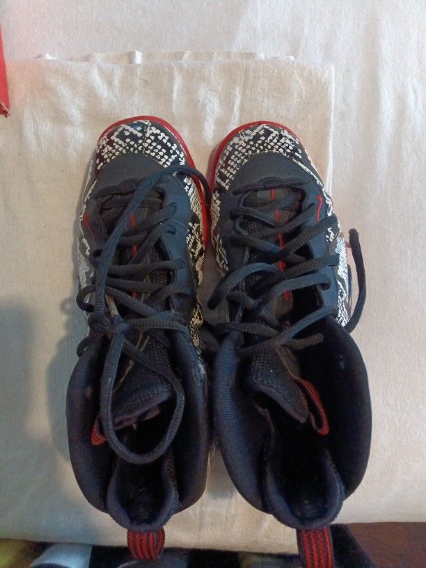 Nike Air Foamposite One
Albino Snake Sneakers Size 6