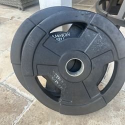 25 Lbs Plates X2
