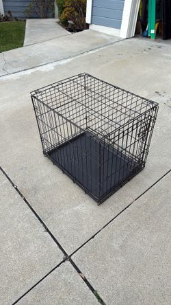 Dog Creat