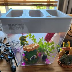 3 Gallon Fish Tank With Aquaponic growing System