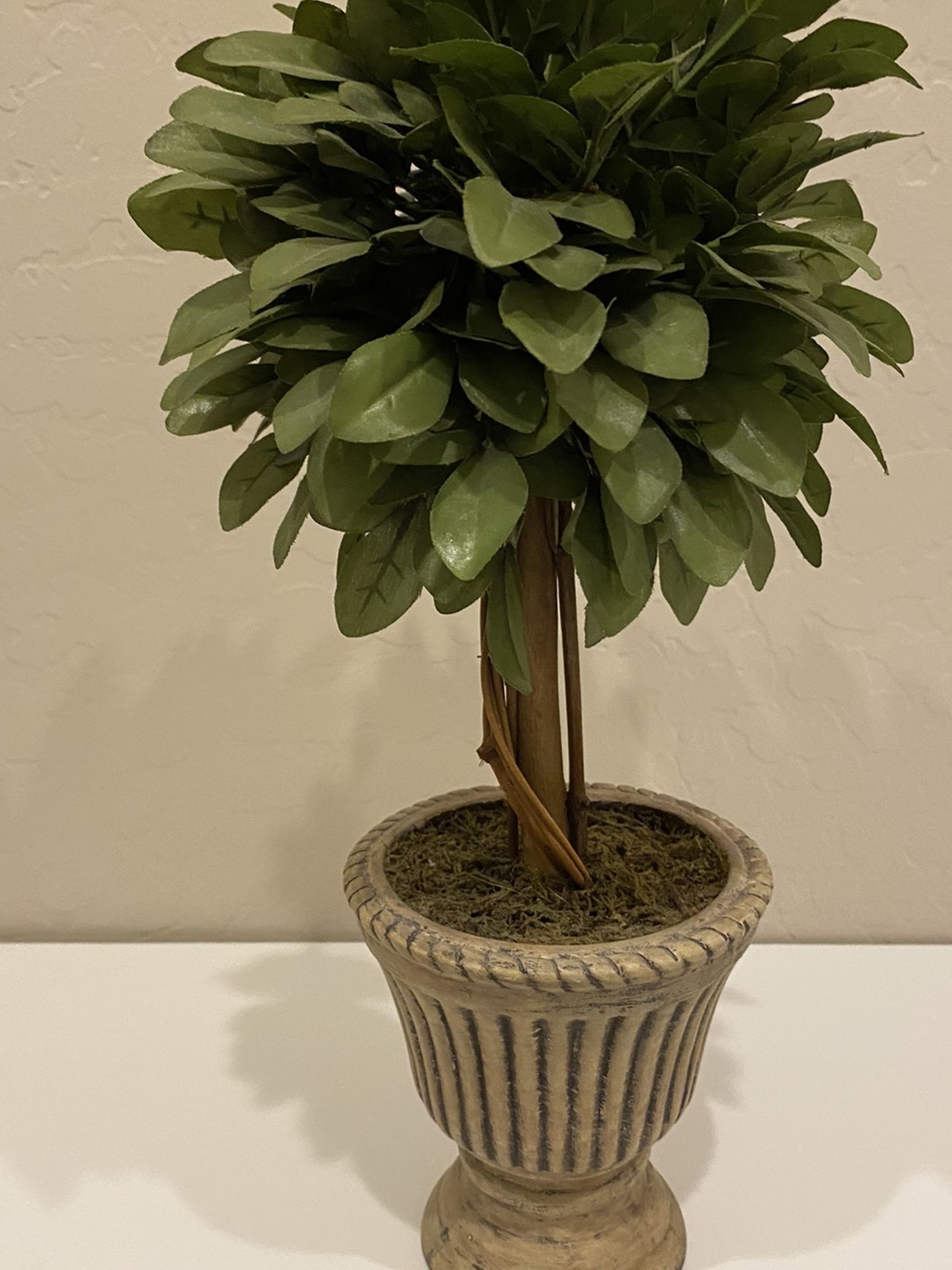 Silk topiary