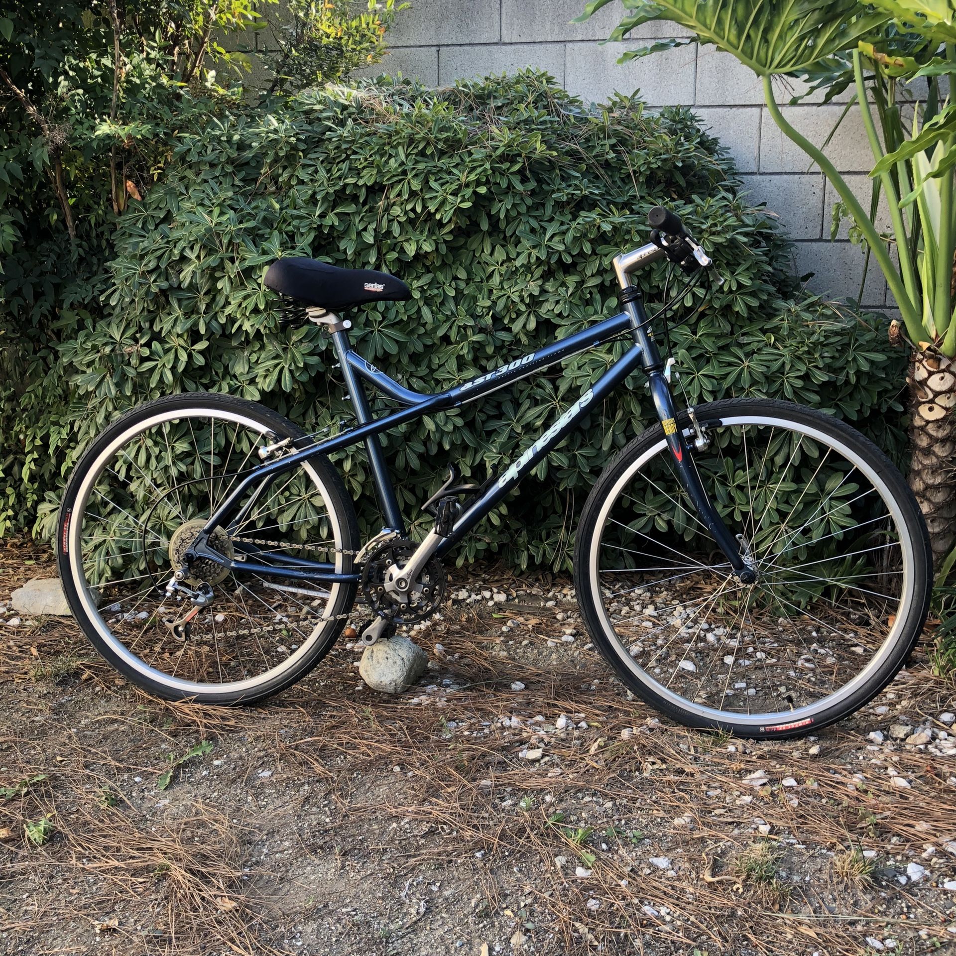 Mountain Bike Rare Alpinestars ASR-300! Ready To Ride! Small/Medium Size. 26" Wheels. Rides and Shifts Good!