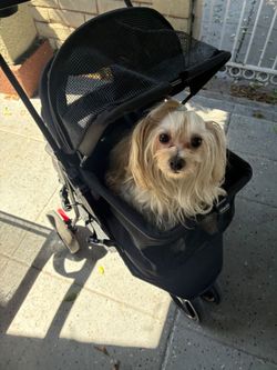 Pet stroller