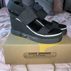 Steve Madden Wedge Sandals 