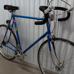 Tall? KHS 12-speed road bike, 25" (62cm), total refurb!