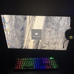 Gaming PC & Monitor