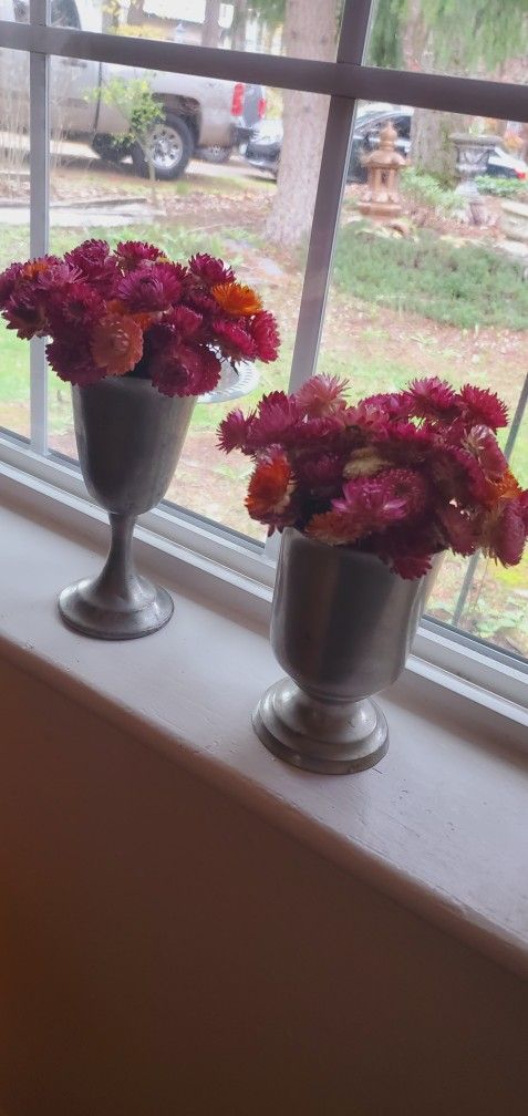 2 Bouquet Of Dried Strawflowers
