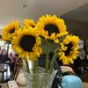 Sunflower702