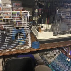 Guinea Pig Cages (and more)