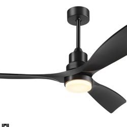 Ceiling Fan 