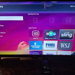 24 Inch Roku TV 40$