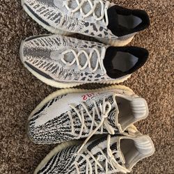 Adidas Yeezy Zebra & V2 Cmpct (Size 10)