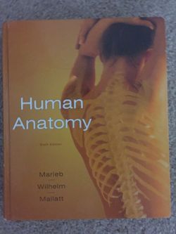 Human anatomy