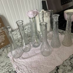 Glass Flower Vases