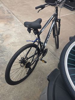 SCHWINN Glenwood