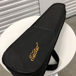 Violin Case