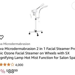 Facial Steamer