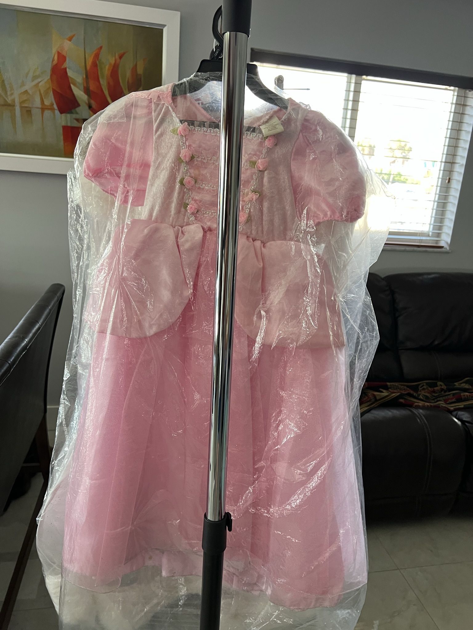 Disney Custome Princess Aurora 