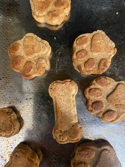 Fresh Homemade Dog Treats 🐶