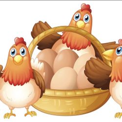 Eggs For Sale