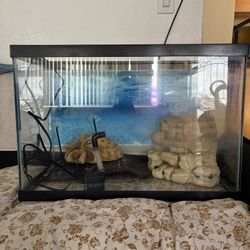 Turtle Tank + More 