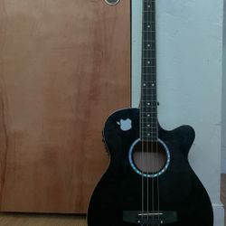 Bajoloche/acoustic Bass 