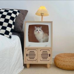 Cat home Tv model