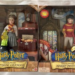 Harry And Hermione Magical Powers Set, Harry Potter