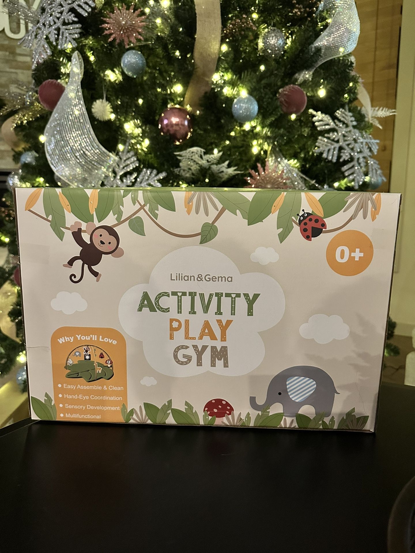 Lilian & Gema Activity Play Gym