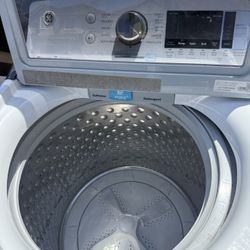 Labadora De Venta