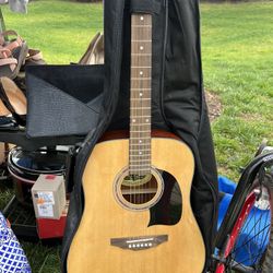 Lion By Washburn  Acoustic Guitar