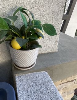 Artifical Fruit Plants Lemon Pomegranate