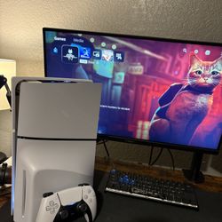 PS5 Slim Disc Console With Controller and Stray (Game)
