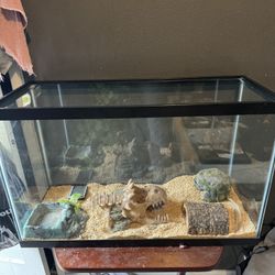 20 Gallon Tank With Accessories 