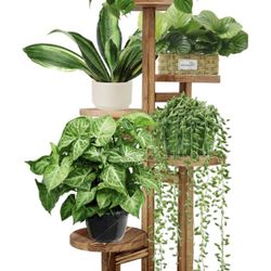 Plant Stand