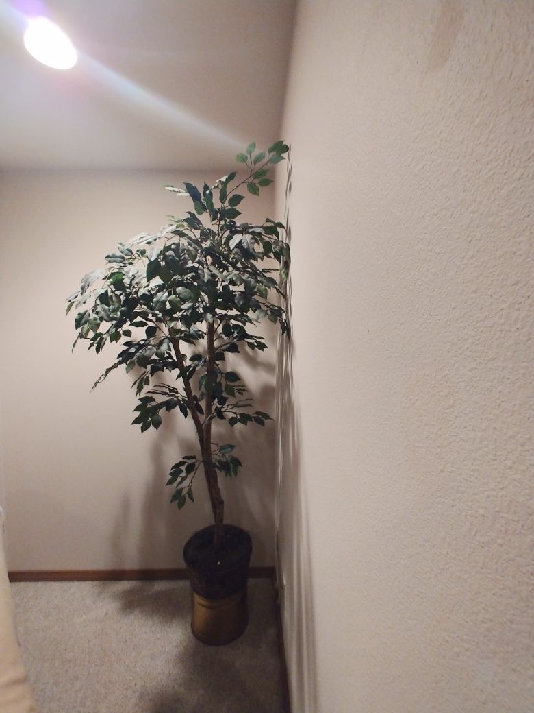 Artificial House trees plants $15 each