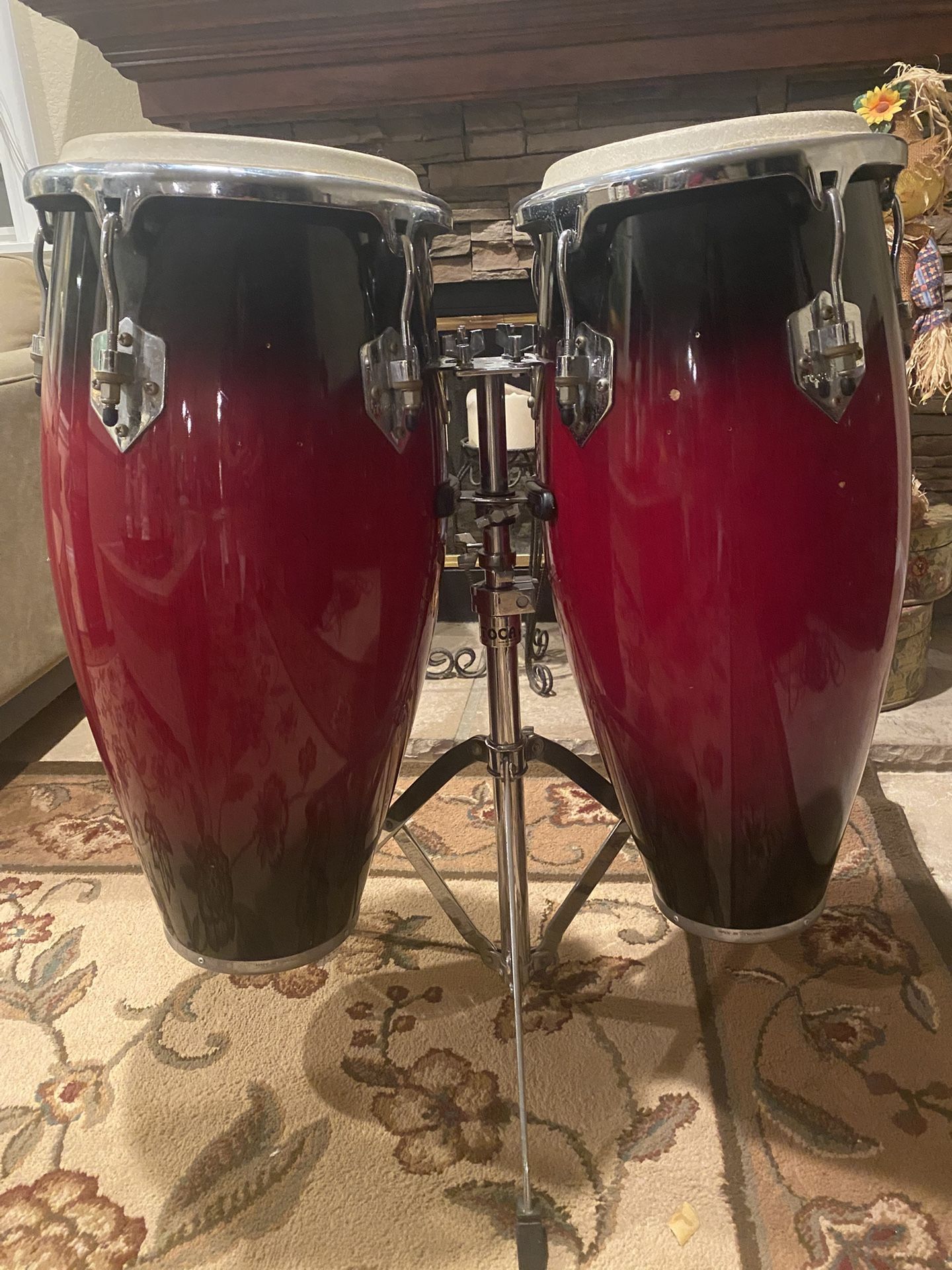 Bongo Drums