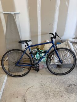 Large Fairdale Bike