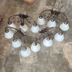 Z4 Light Fixtures