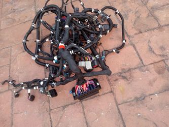 2021 Sling Shot Main Harness Oem