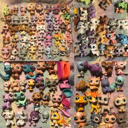 Littlest Pet Shop Shorthair cats , collie , Great Dane , turtles, monkey , pony, lamb , 2004 and up
