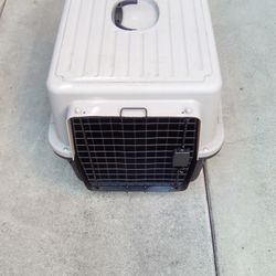 Pet Travel Carrier Medium Size 