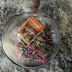 Fish Bowl + Supplies