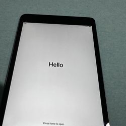 Apple iPad Mini 2