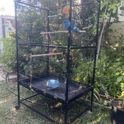 Large birdcage