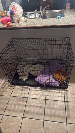 Dog crate